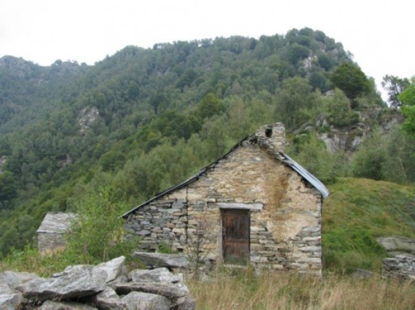 Sentiero Solivo - Alpe Campo Alto 